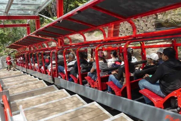 blue mopuntain train