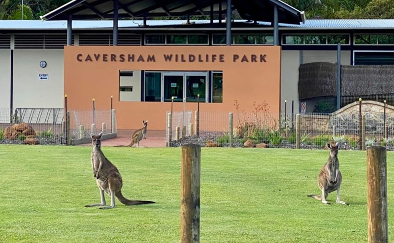 caversham