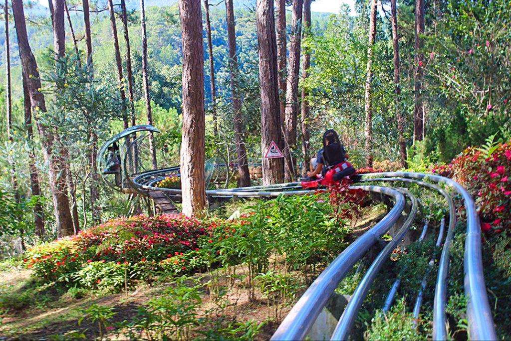 datanla alpine coaster