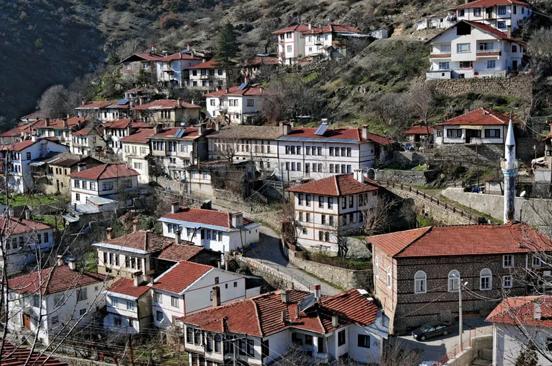 Bolu