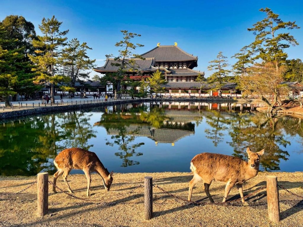 nara park